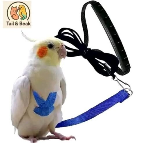 Tail & Beak جبلك الحل حبال هارنس مريحة وآمنة للطيور تصميم احترافي 100% ن