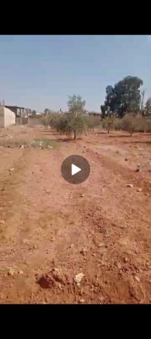 أرض لقطة دروشا شارع النبعةأرض فارغة طابو اخضر ت