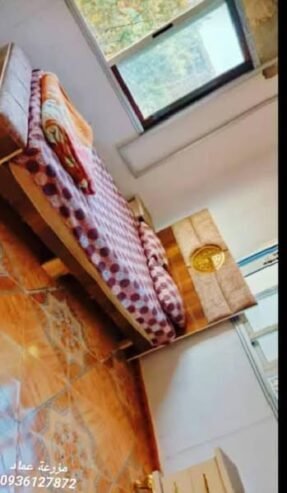 مزرعة الدعبول غرفتين وصالون مخدمة بالكاملمسبح مفلتر ومسبح.