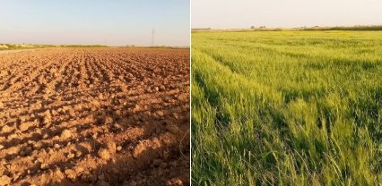 السلام عليكم  للبيع ارض زراعية المساحه 100 دونم طابو اخضر صدر مروه الري مضخات  الموقع قربي حزيمة قريت الخباص للتواصل: 0993794640
