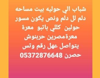 شباب الي حوليه بيت مساحه دلم لل دلم ونص يكون مسور حولين كللي باتبو معرة معرة مصرين حربنوش