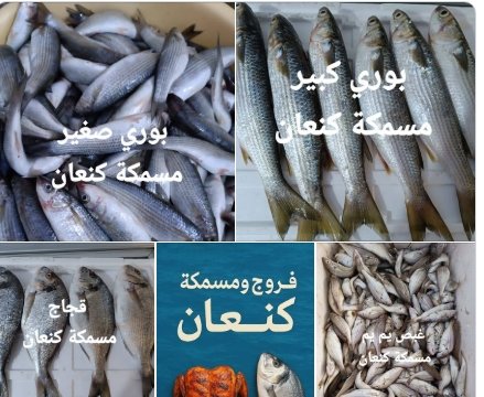#تشكيلة_واسعه#من_مسمكة_وفروج_كنعان