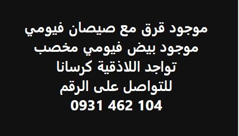 موجود قرق مع صيصان فيومي موجود بيض فيومى مخصبة