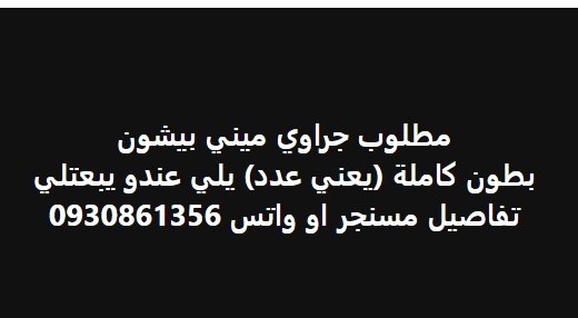 مطلوب جراوي ميني بيشون بطون كاملة (يعني عدد)