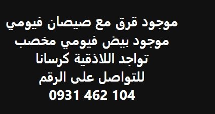 موجود قرق مع صيصان فيومي  موجود بيض فيومي مخصب  تواجد اللاذقية كرسانا  للتواصل على الرقم  104 462 0931